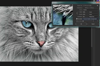 نحوه کم کردن حجم عکس در فتوشاپ + راهنمای تصویری