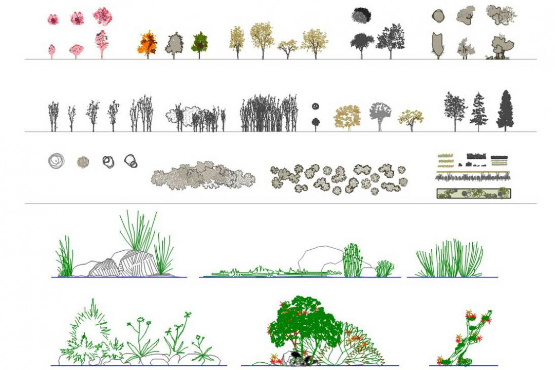 دانلود پروژه آماده اتوکد طرح دو بعدی مجموعه درخت و گیاهان