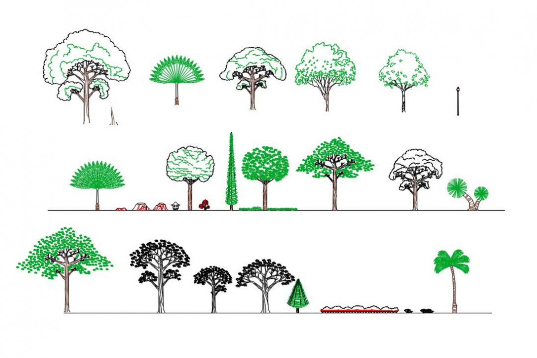 دانلود پروژه آماده اتوکد طرح دو بعدی مجموعه درخت