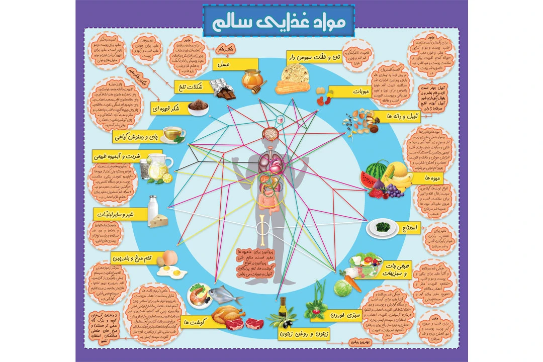 اینفوگرافیک و پوستر آموزشی مواد غذایی سالم-چاپی