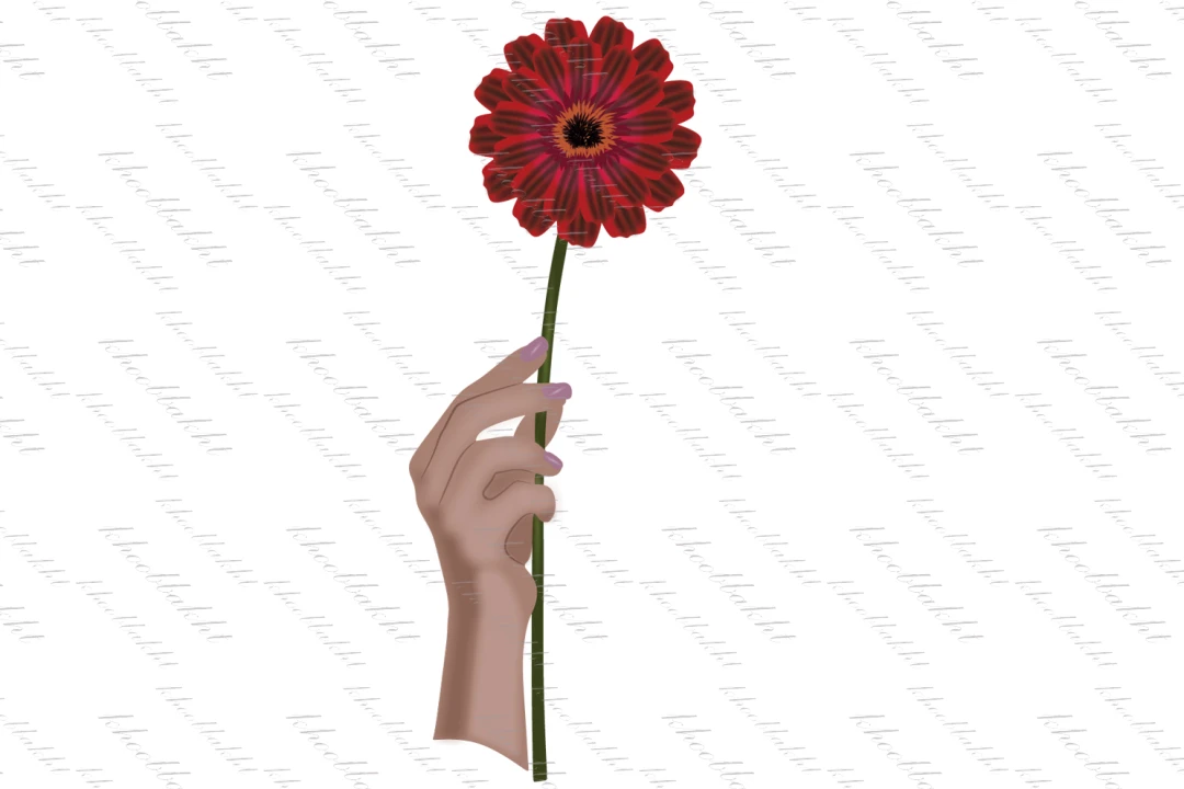 دانلود طرح وکتور دست خانم با ناخن های لاک زده شده و در حالیکه گل قرمز با رگه های بنفش را در دست گرفته