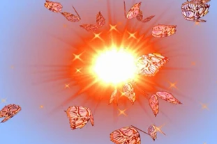 انیمیشن پرواز و انتشار پروانه ها از تشعشع نور