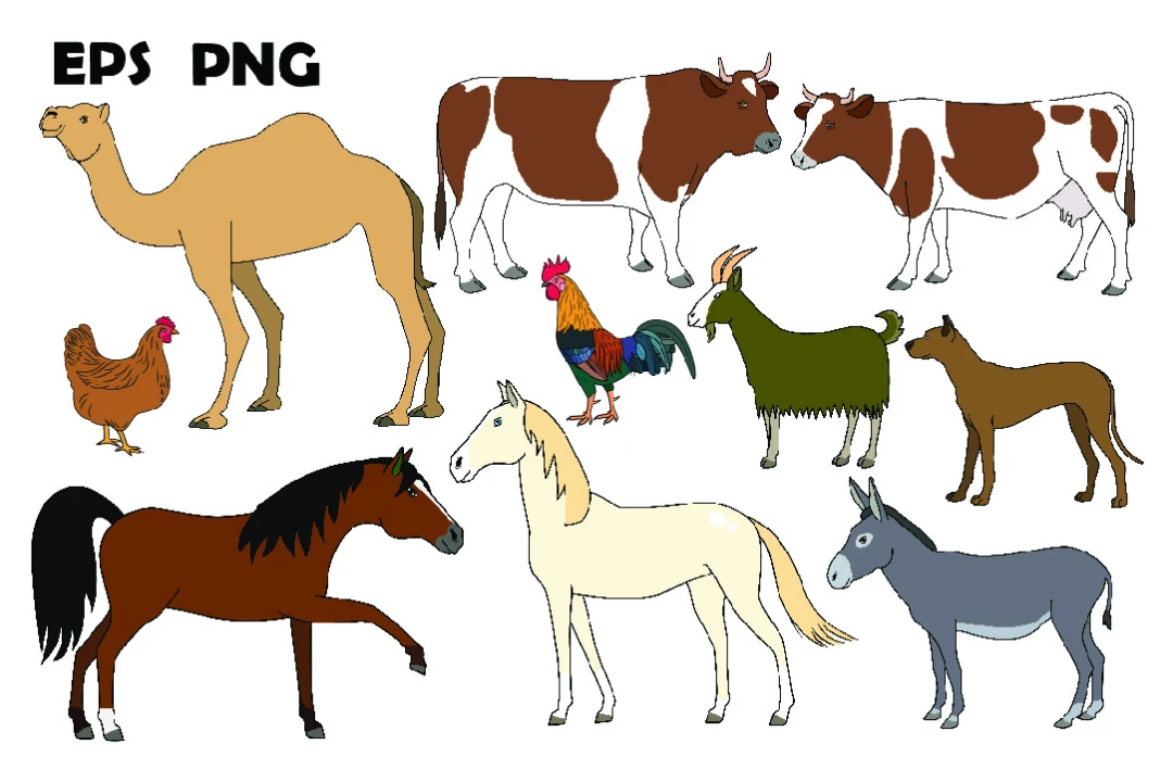 دانلود 10 طرح وکتور حیوانات مزرعه به همراه فایل png