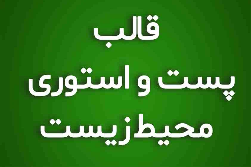 دانلود  قالب پست و استوری اینستاگرام طبعیت و حفاظت محیط زیست