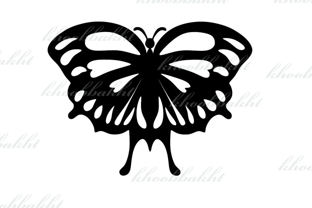 دانلود طرح وکتور پروانه ی زیبا در حالیکه بالهای خود را باز کرده