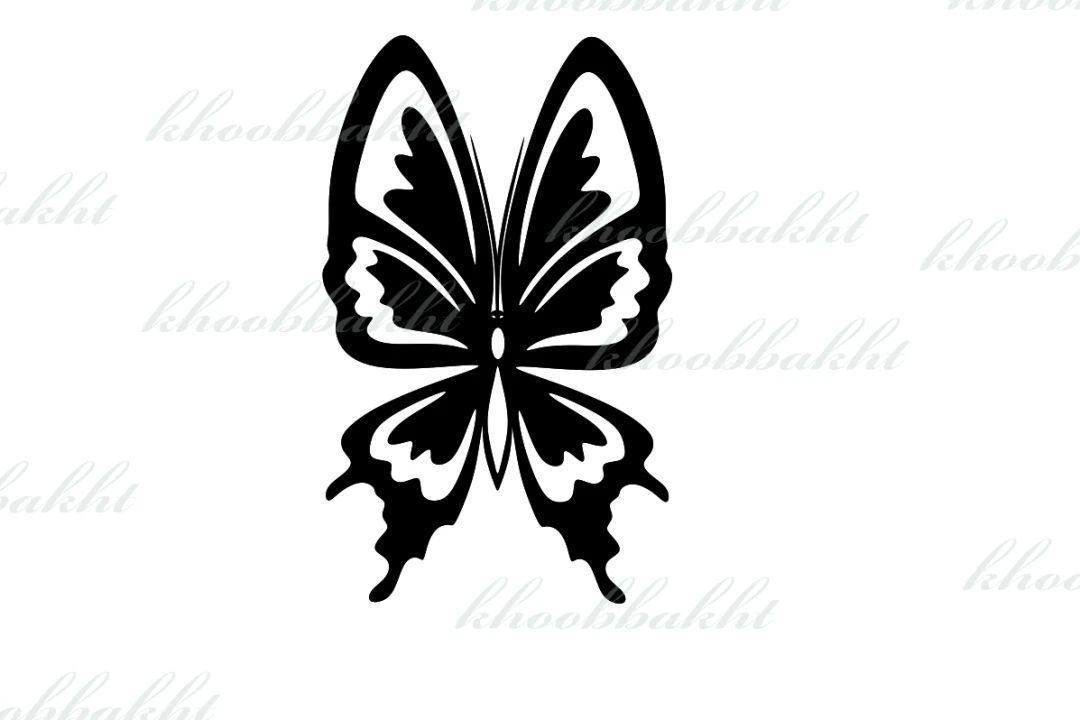 دانلود طرح وکتور پروانه با نقش و نگار زیبا روی بالهایش