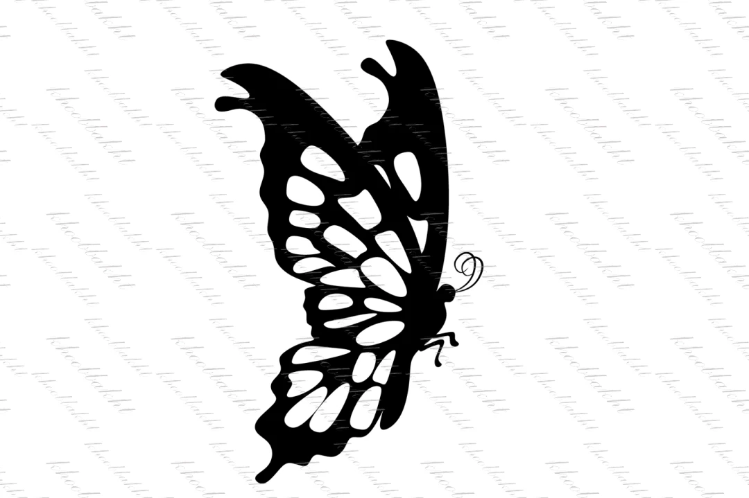 دانلود طرح وکتور پروانه ی خوشگل و ناز در حال بال زدن