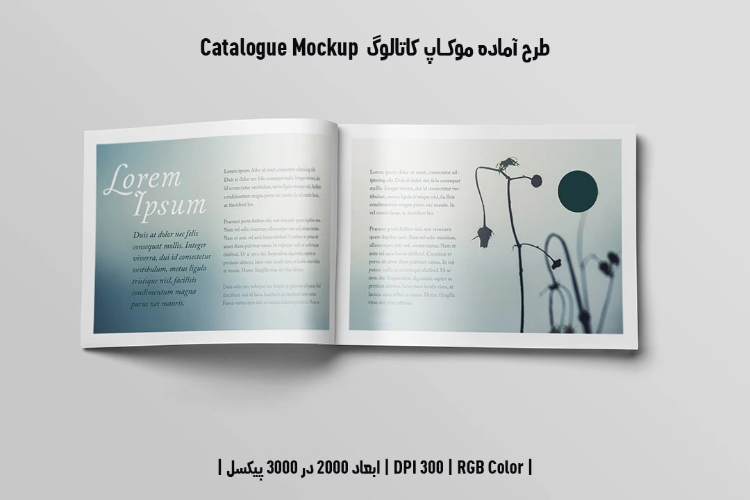 دانلود طرح آماده موکاپ کاتالوگ Catalog Mockup