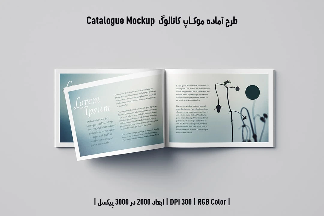 دانلود طرح آماده موکاپ کاتالوگ Catalog Mockup