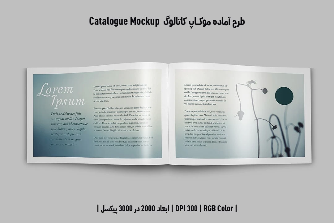 دانلود طرح آماده موکاپ کاتالوگ Catalog Mockup