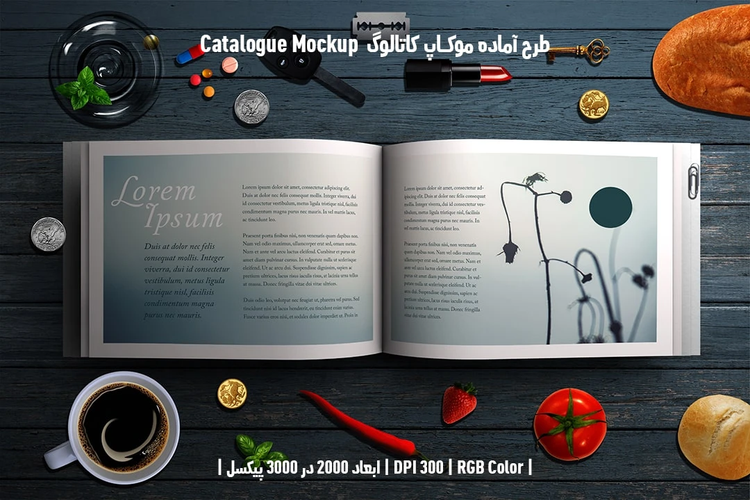 دانلود طرح آماده موکاپ کاتالوگ Catalog Mockup