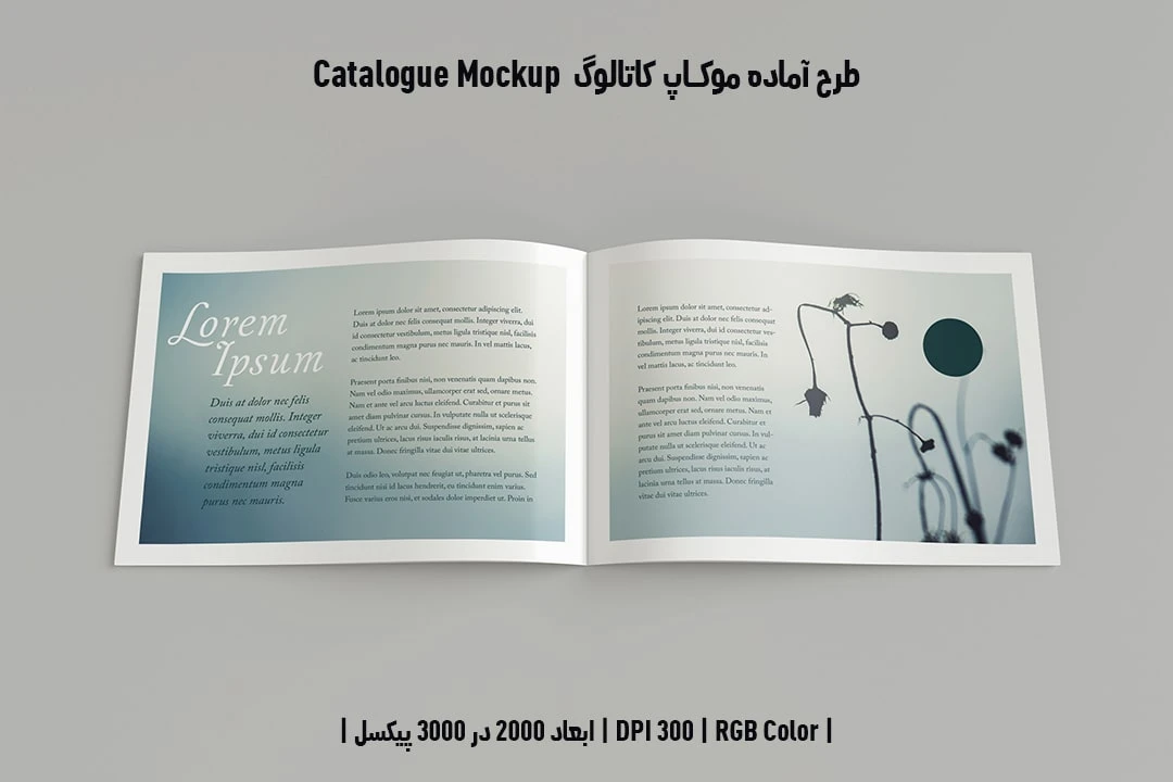 دانلود طرح آماده موکاپ کاتالوگ Catalog Mockup