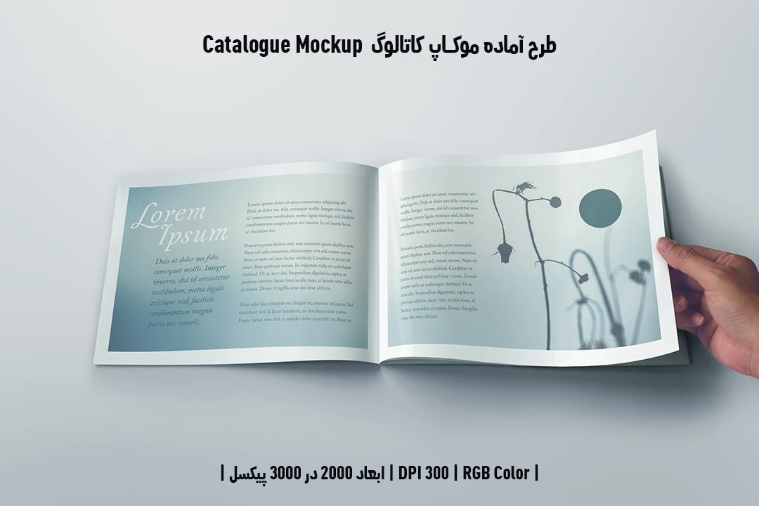 دانلود طرح آماده موکاپ کاتالوگ Catalog Mockup