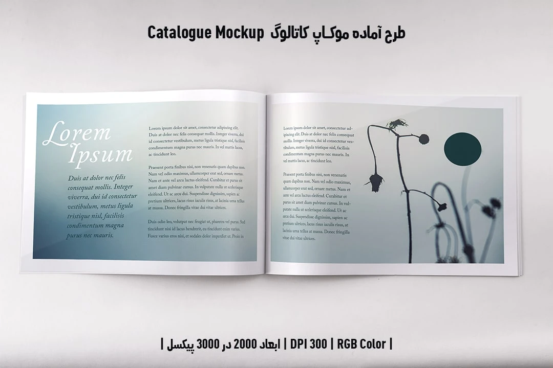 دانلود طرح آماده موکاپ کاتالوگ Catalog Mockup