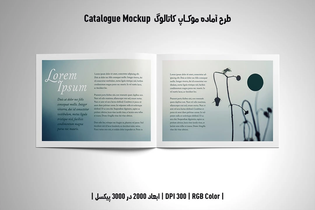 دانلود طرح آماده موکاپ کاتالوگ Catalog Mockup