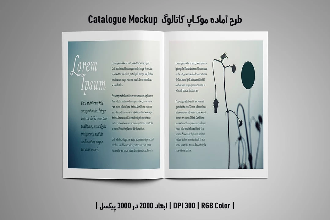 دانلود طرح آماده موکاپ کاتالوگ Catalog Mockup