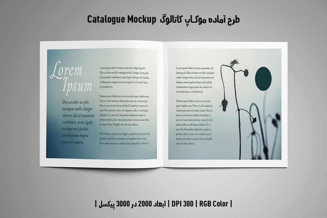 دانلود طرح آماده موکاپ کاتالوگ Catalog Mockup