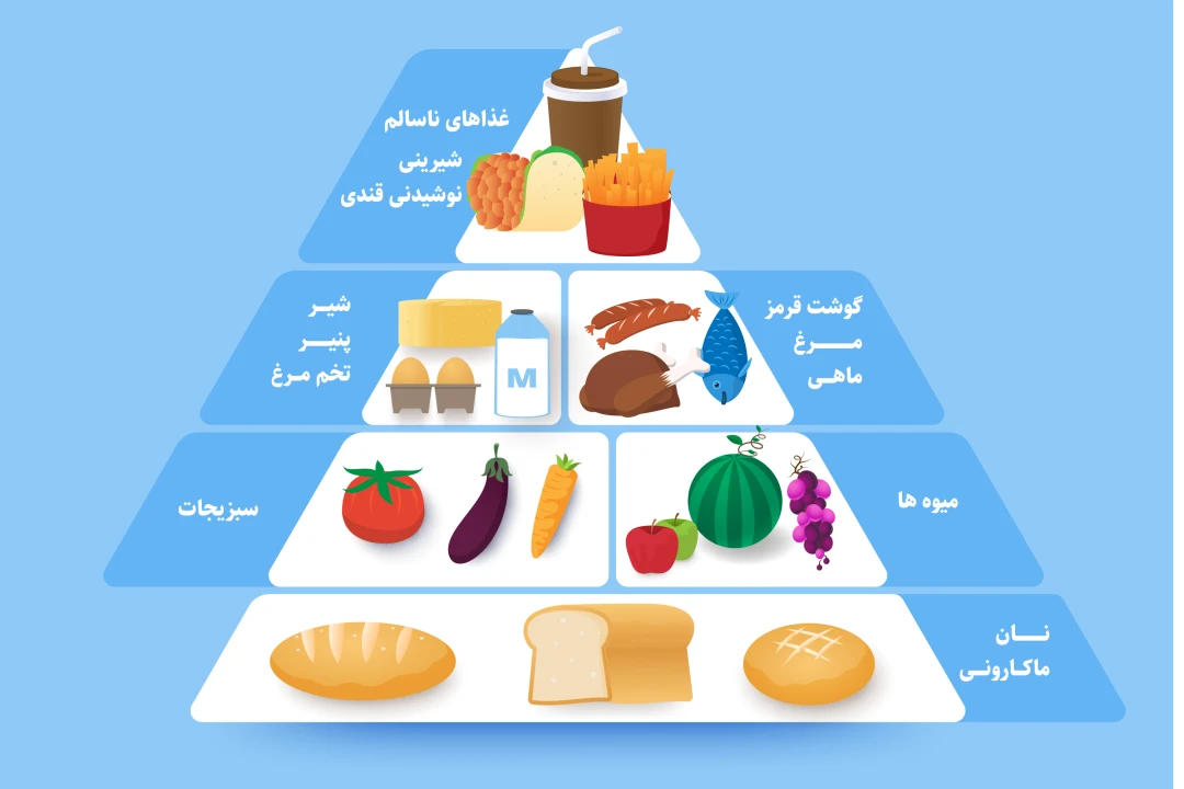 فایل لایه باز اینفوگرافیک هرم ارزش غذایی