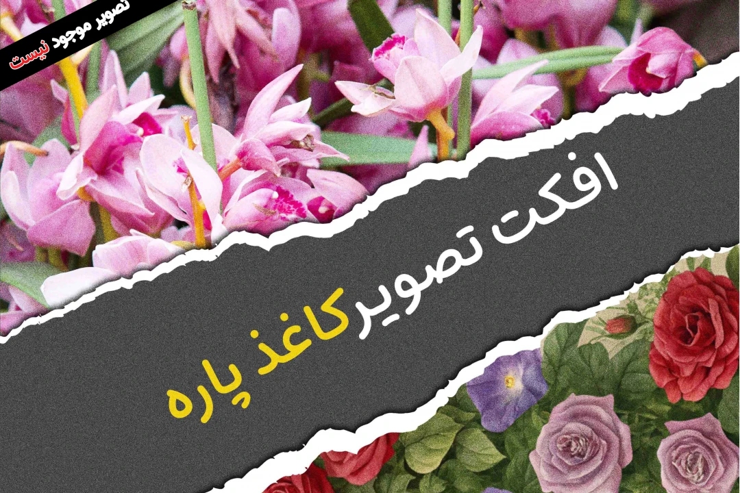 افکت تصویر