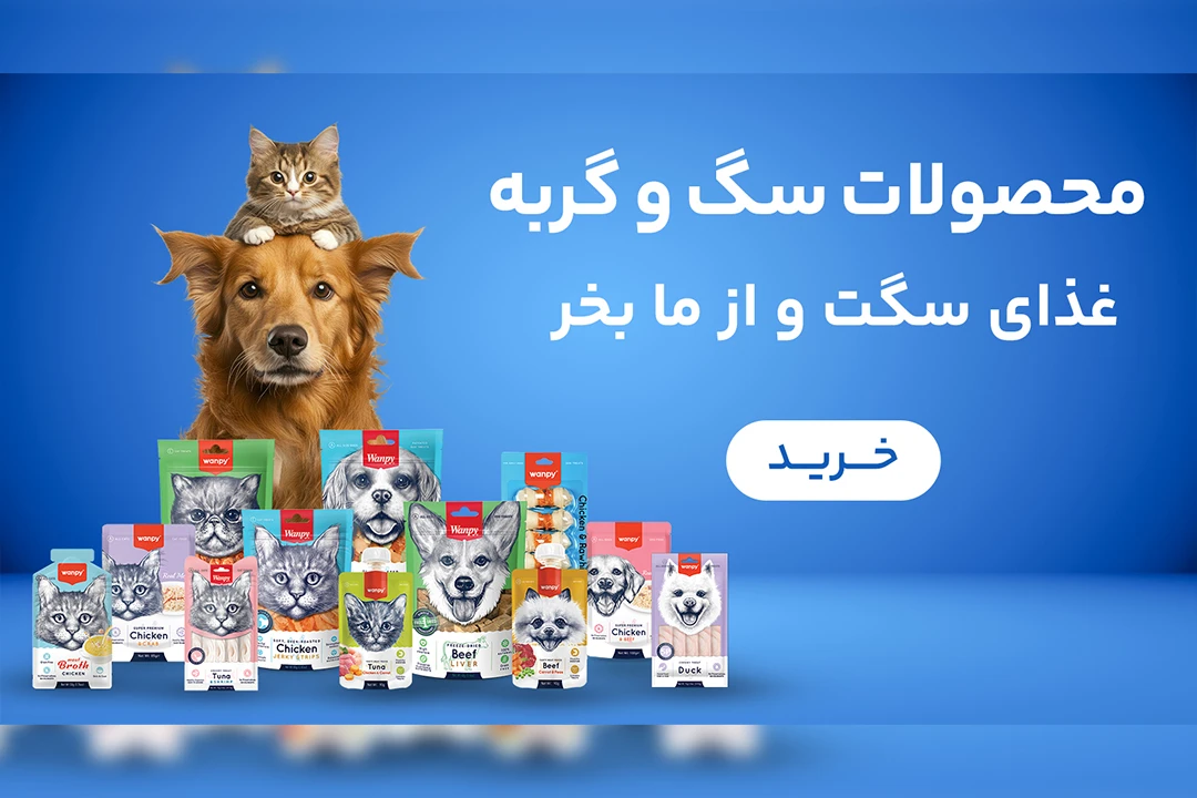 "دانلود بنر لایه باز حرفه ای سایت پت شاپ و فروشگاه حیوانات خانگی | طراحی جذاب و ویرایشی با فتوشاپ"