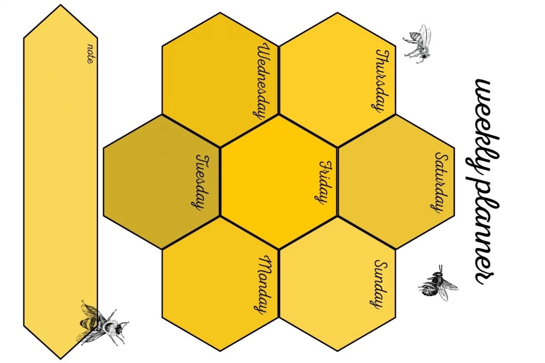 پلنر هفتگی زنبوری