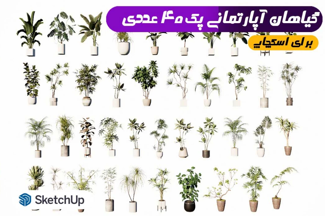 گیاهان آپارتمانی برای اسکچاپ (پک 40 عددی در یک فایل)