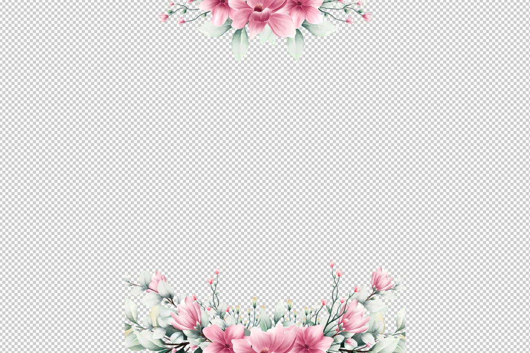 تصویر گل بدون زمینه با کیفیت بالا 2