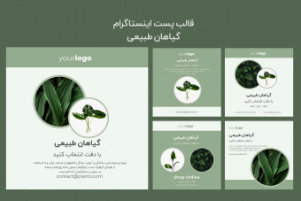 مجموعه پست لایه باز اینستاگرام گیاهان طبیعی