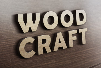 قالب موکاپ لوگو