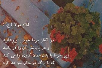 کلام امام علی (ع)