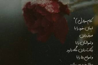 کلام امام علی (ع)