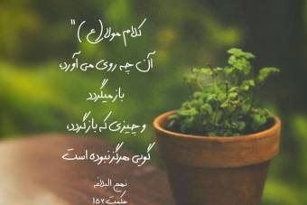 طرح لایه باز:سخن امام علی(ع)