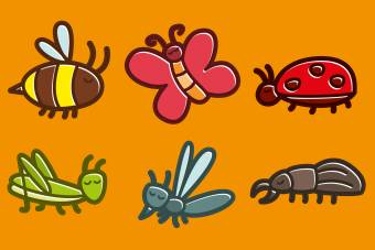 وکتور حشرات