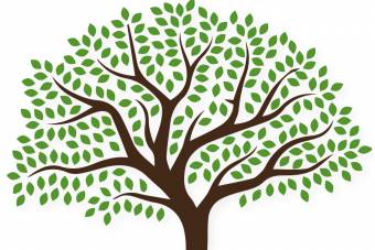 وکتور درخت 4