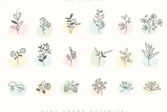 دانلود وکتور گل لایه باز