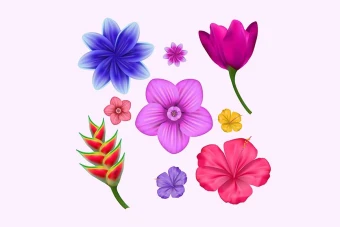 دانلود وکتور گل لایه باز