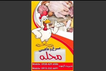 فروشگاه مرغ و ماهی محله