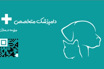 پت شاپ، دامپزشکی