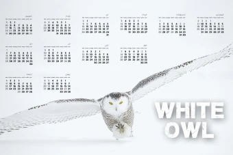 طرح لایه باز تقویم 1402 طرح جغد