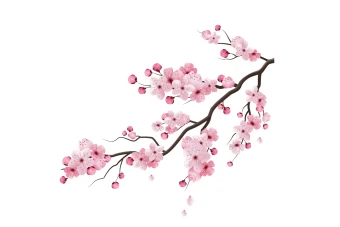 طرح کارت پستال و پست با موضوع بهار