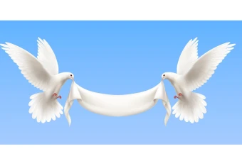 وکتور تصویر کبوتر با طرح و کیفیت عالی