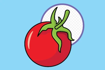 دانلود رایگان طرح وکتور گوجه