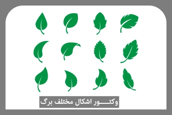 وکتور اشکال مختلف برگ - leaf vector