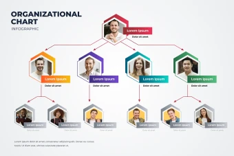 فایل لایه باز چارت سازمانی و اداری (اینفوگرافیک چارت سازمانی و اداری)