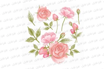 فایل لایه باز و قابل ویرایش گل های رز