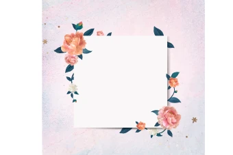 فایل لایه باز کادر و پس زمینه متن