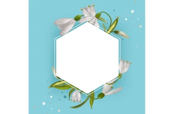 فایل لایه باز کادر و پس زمینه متن