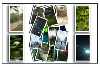 ۱۷ ویدیو آماده "بارش باران" جهت تولید محتوا پست ، ریلز و استوری اینستاگرام