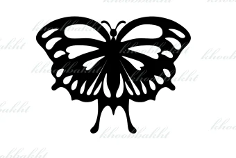 دانلود طرح وکتور پروانه ی زیبا در حالیکه بالهای خود را باز کرده