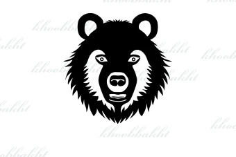 دانلود طرح وکتور خرس وحشی